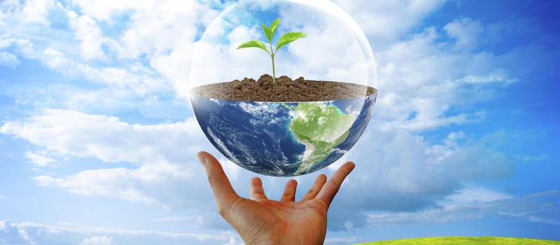 Декларация по экологическому налогу 2024